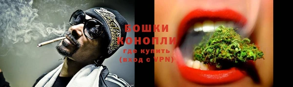 дмт Россошь