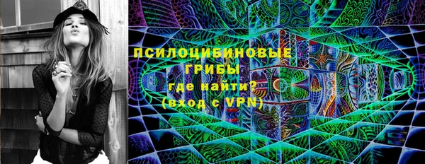 молекула духа Рославль