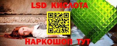 спиды Кингисепп