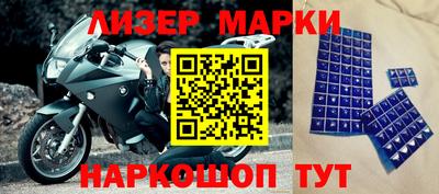 спиды Кингисепп