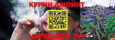 спиды Кингисепп