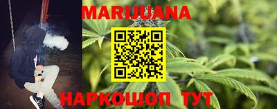 спиды Кингисепп