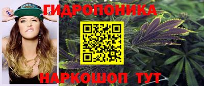 спиды Кингисепп