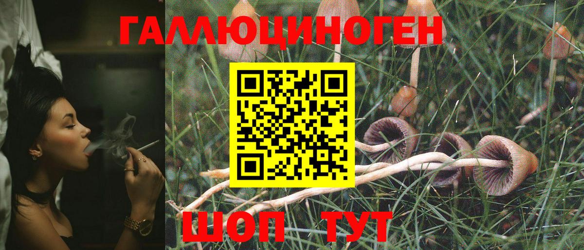 Галлюциногенные грибы MAGIC MUSHROOMS  Вход с VPN  Кушва 